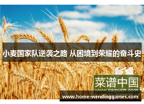小麦国家队逆袭之路 从困境到荣耀的奋斗史